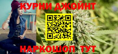 гидра Пенза