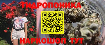 гидра Пенза