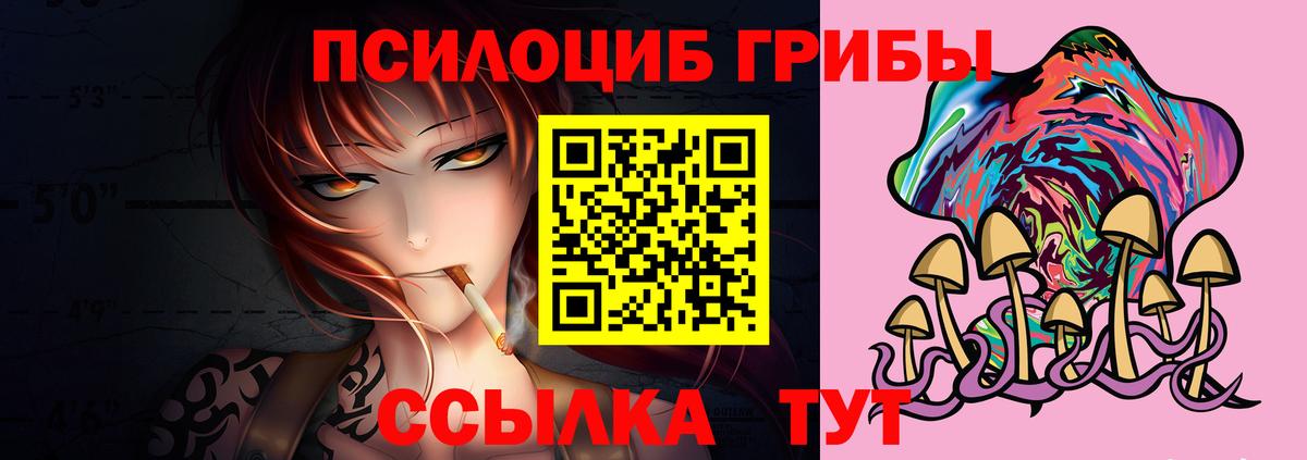 Топки  Галлюциногенные грибы Psilocybine cubensis  Вход с VPN 